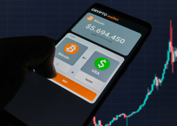 A Beginner's Guide to Setting Up Your First Crypto Wallet 6 A Beginner's Guide to Setting Up Your First Crypto Wallet