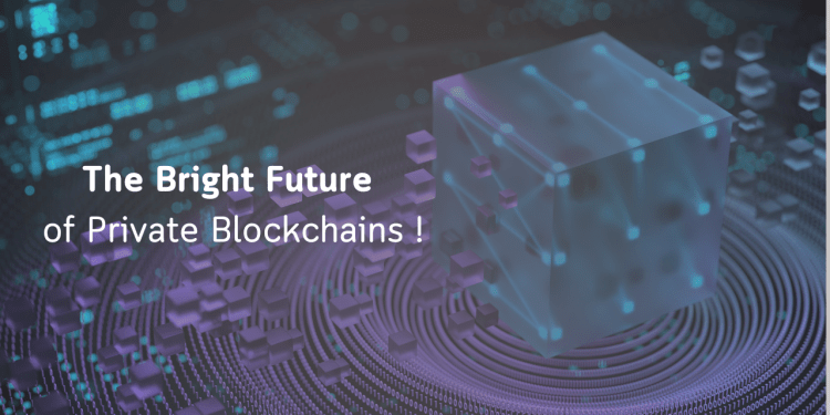 The Rise of Private Blockchains in Enterprise Solutions
